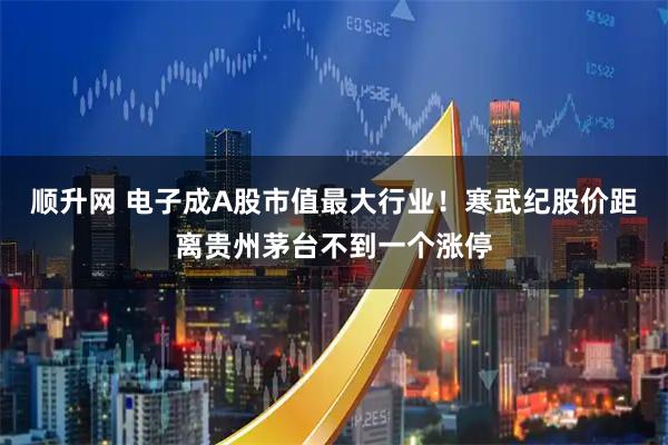 顺升网 电子成A股市值最大行业！寒武纪股价距离贵州茅台不到一个涨停
