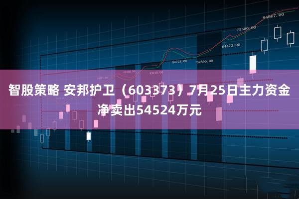 智股策略 安邦护卫(603373)7月25日主力资金净卖出54524万元