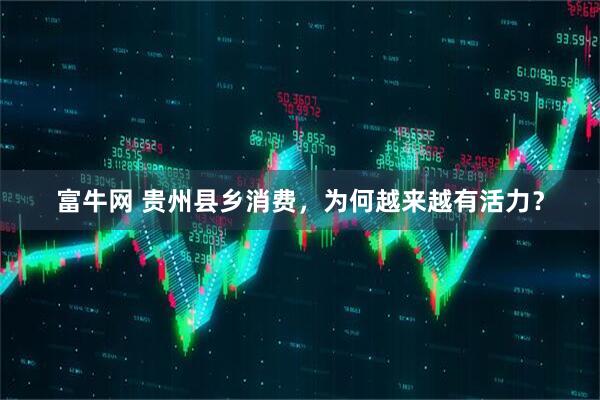 富牛网 贵州县乡消费，为何越来越有活力？